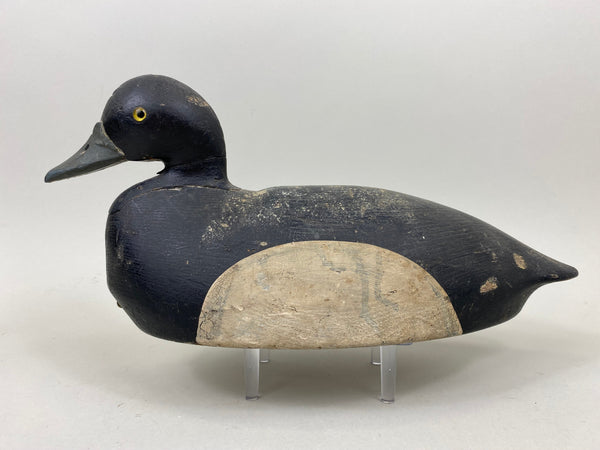 Nate Quillen Blue Bill Drake (#7240)