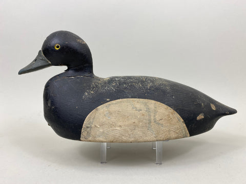 Nate Quillen Blue Bill Drake (#7240)