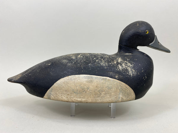 Nate Quillen Blue Bill Drake (#7240)