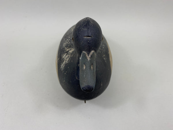 Nate Quillen Blue Bill Drake (#7240)