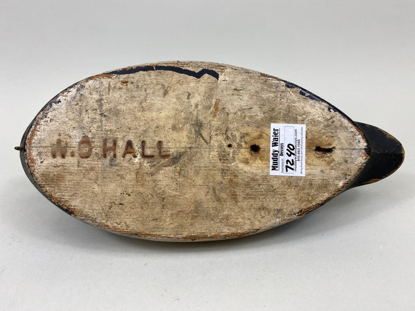 Nate Quillen Blue Bill Drake (#7240)