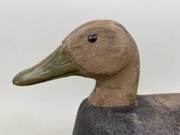 Herters Canvas Over Cork Black Duck (#7242)