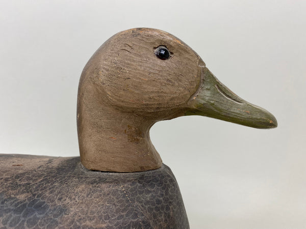 Herters Canvas Over Cork Black Duck (#7242)