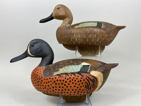 Wragg and Burrell Pair Blue Wing Teal (#7247)