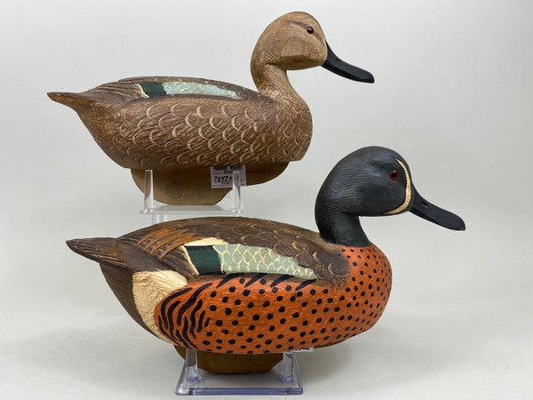 Wragg and Burrell Pair Blue Wing Teal (#7247)