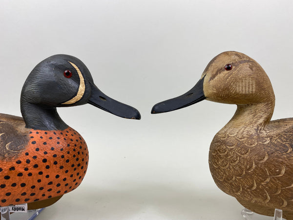 Wragg and Burrell Pair Blue Wing Teal (#7247)