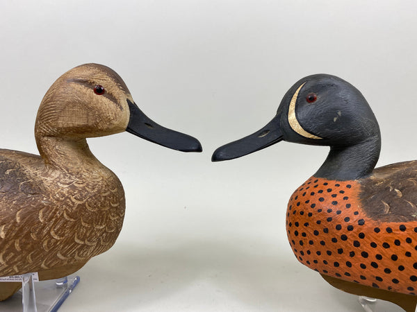 Wragg and Burrell Pair Blue Wing Teal (#7247)