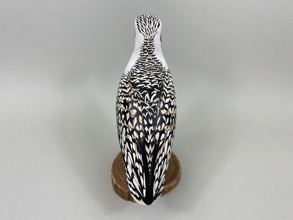 Anthony Hillman Black Bellied Plover Spring Plumage (#7255)