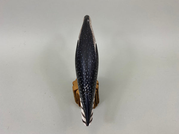 Anthony Hillman Preening Yellow Legs Shorebird (#7257)