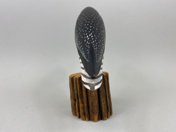 Anthony Hillman Preening Yellow Legs Shorebird (#7257)