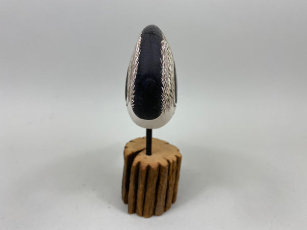 Anthony Hillman Preening Yellow Legs Shorebird (#7257)