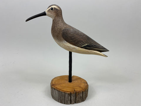 Anthony Hillman Winter Dunlin Shorebird (#7258)