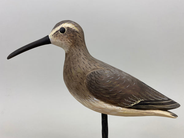 Anthony Hillman Winter Dunlin Shorebird (#7258)