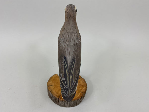 Anthony Hillman Winter Dunlin Shorebird (#7258)