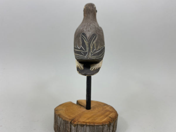 Anthony Hillman Winter Dunlin Shorebird (#7258)