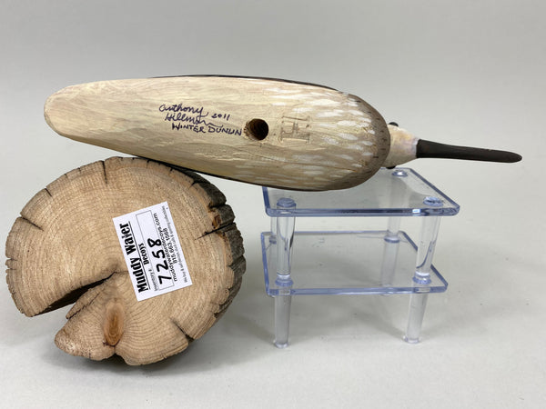 Anthony Hillman Winter Dunlin Shorebird (#7258)