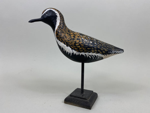 Anthony Hillman Golden Plover (#7259)