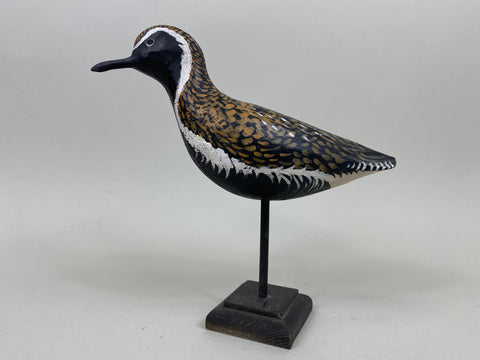 Anthony Hillman Golden Plover (#7259)