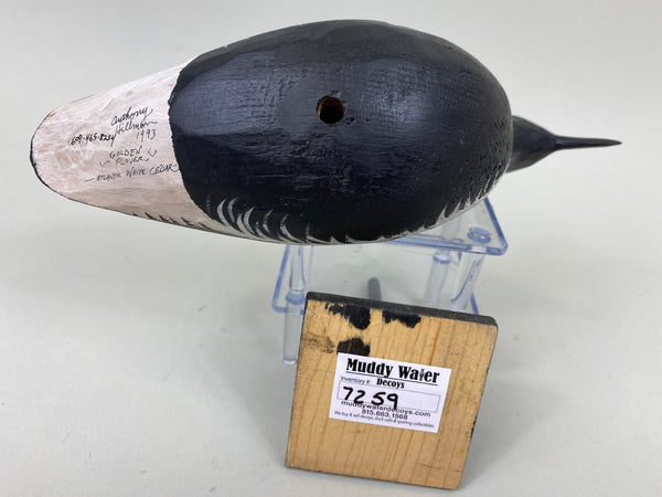 Anthony Hillman Golden Plover (#7259)