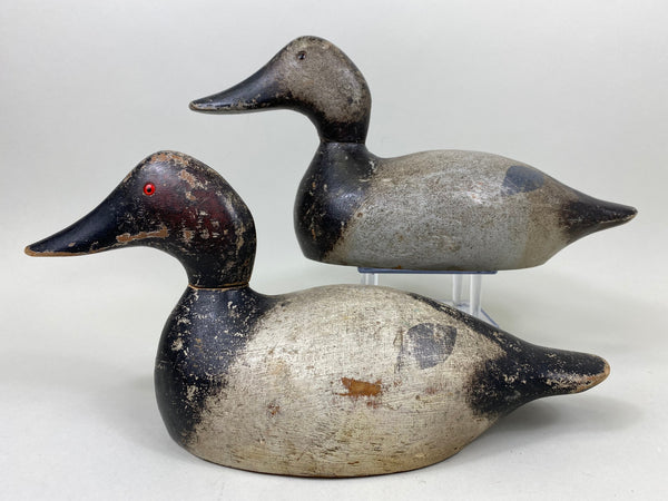 Evans Standard Grade Rigmate Pair of Canvasbacks, Factory Stamp (#7261)