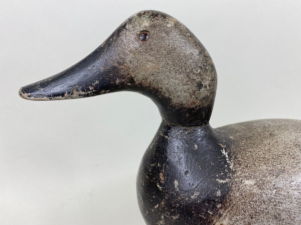 Evans Standard Grade Rigmate Pair of Canvasbacks, Factory Stamp (#7261)