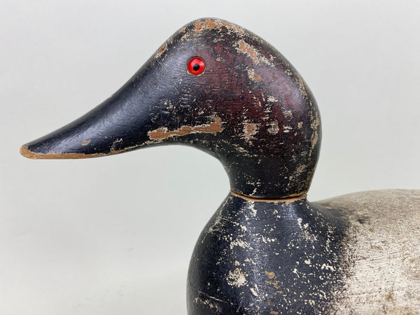 Evans Standard Grade Rigmate Pair of Canvasbacks, Factory Stamp (#7261)