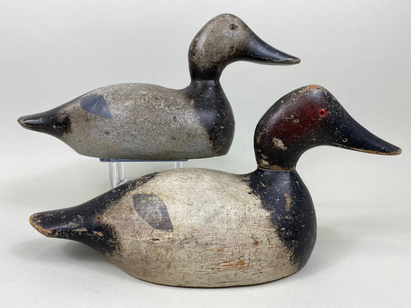 Evans Standard Grade Rigmate Pair of Canvasbacks, Factory Stamp (#7261)