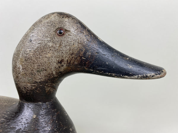 Evans Standard Grade Rigmate Pair of Canvasbacks, Factory Stamp (#7261)