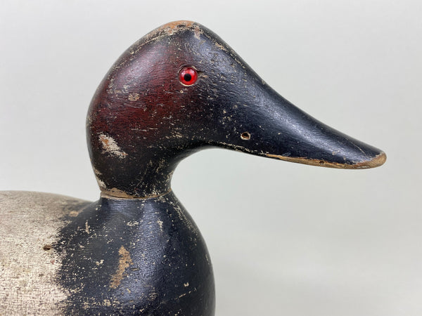 Evans Standard Grade Rigmate Pair of Canvasbacks, Factory Stamp (#7261)