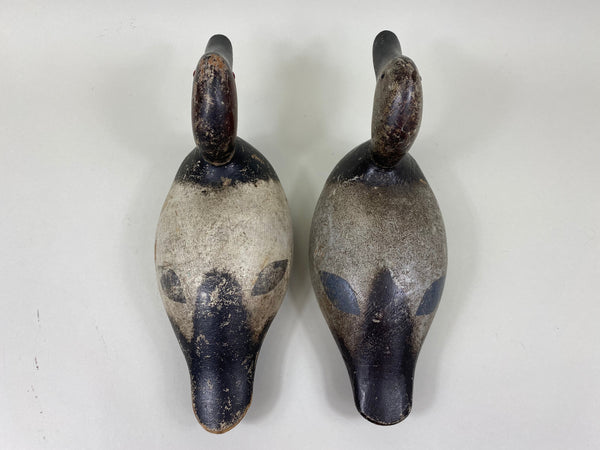 Evans Standard Grade Rigmate Pair of Canvasbacks, Factory Stamp (#7261)