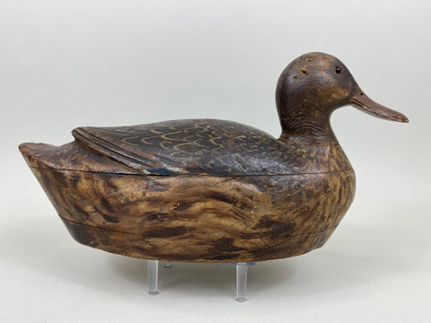 Milwaukee School Mallard Hen, From the Milwaukee Museum (#7262)