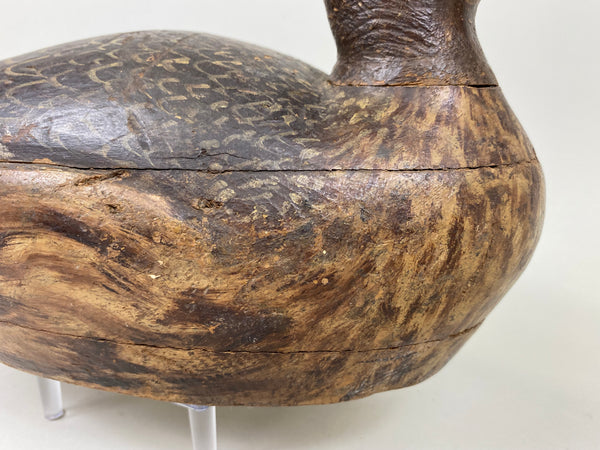 Milwaukee School Mallard Hen, From the Milwaukee Museum (#7262)