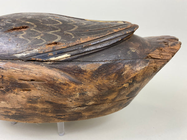 Milwaukee School Mallard Hen, From the Milwaukee Museum (#7262)