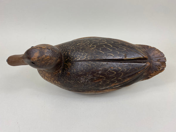 Milwaukee School Mallard Hen, From the Milwaukee Museum (#7262)