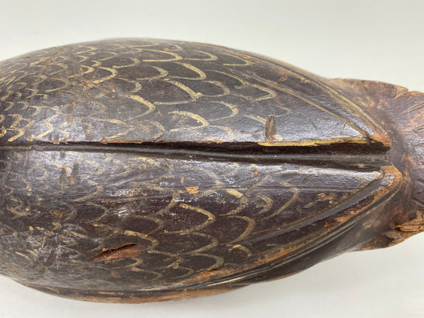 Milwaukee School Mallard Hen, From the Milwaukee Museum (#7262)