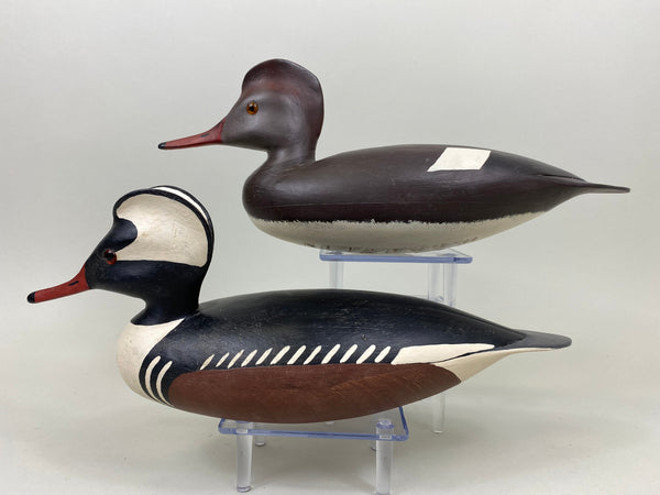 Pair of Hurley Conklin Hooded Mergansers (#7269)