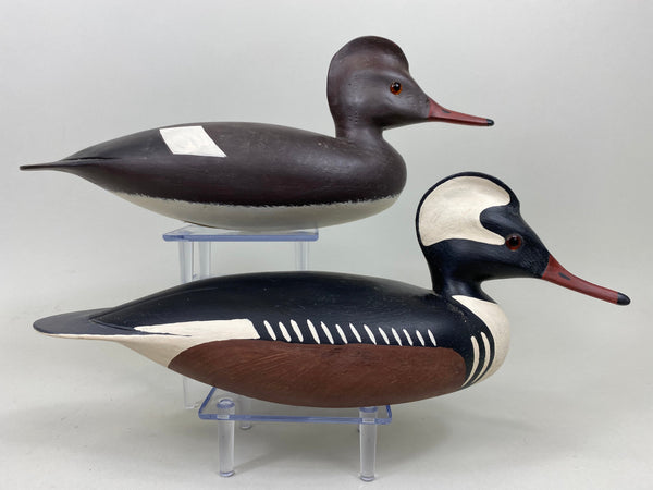 Pair of Hurley Conklin Hooded Mergansers (#7269)