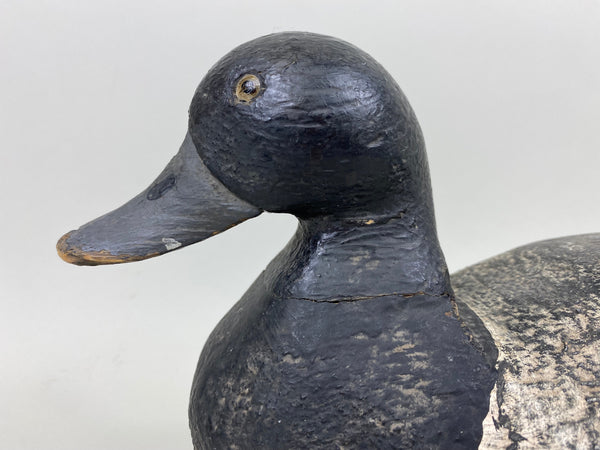 Unknown Wisconsin Blue Bill, Circa 1930's, Original Paint (#7272)