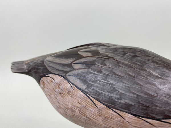 Pair of Tom Ferguson Ruddy Ducks, Branded, Signed, Dated (#7276)