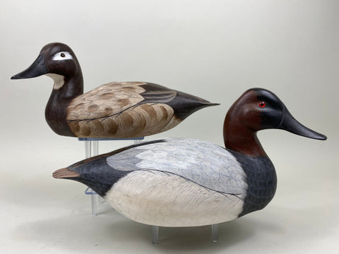 Pair of Canvasbacks, Ferguson (Harris School) (#7277)
