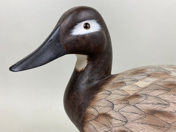 Pair of Canvasbacks, Ferguson (Harris School) (#7277)