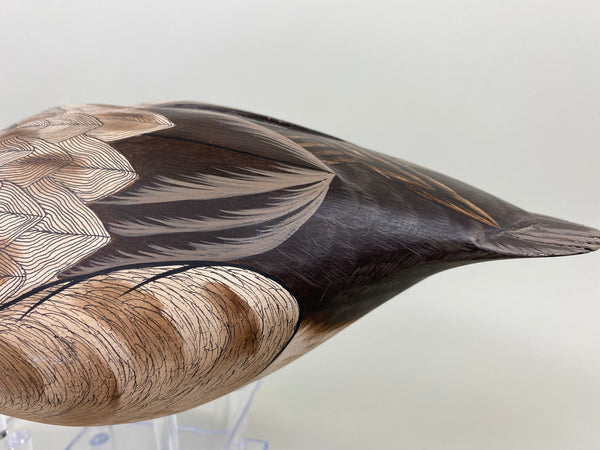 Pair of Canvasbacks, Ferguson (Harris School) (#7277)