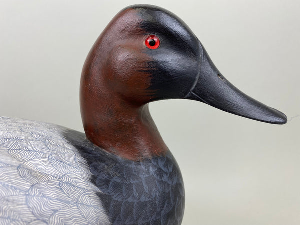 Pair of Canvasbacks, Ferguson (Harris School) (#7277)