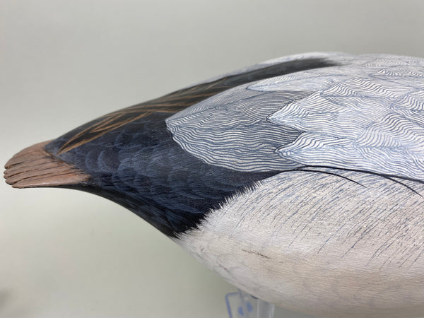 Pair of Canvasbacks, Ferguson (Harris School) (#7277)