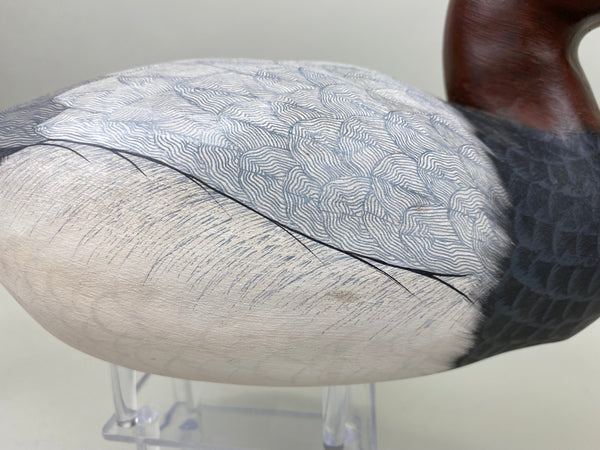 Pair of Canvasbacks, Ferguson (Harris School) (#7277)