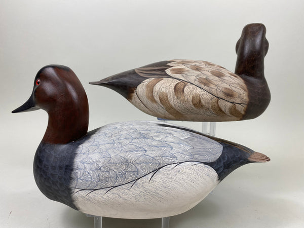 Pair of Canvasbacks, Ferguson (Harris School) (#7277)
