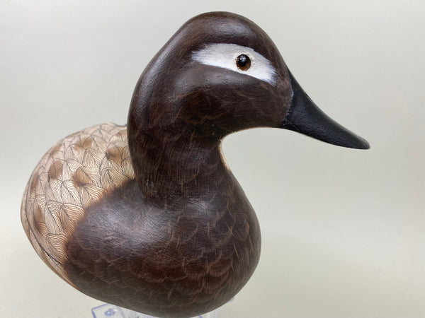 Pair of Canvasbacks, Ferguson (Harris School) (#7277)