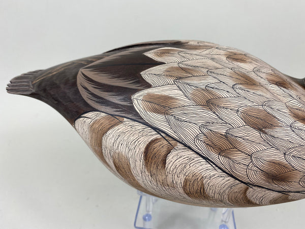 Pair of Canvasbacks, Ferguson (Harris School) (#7277)