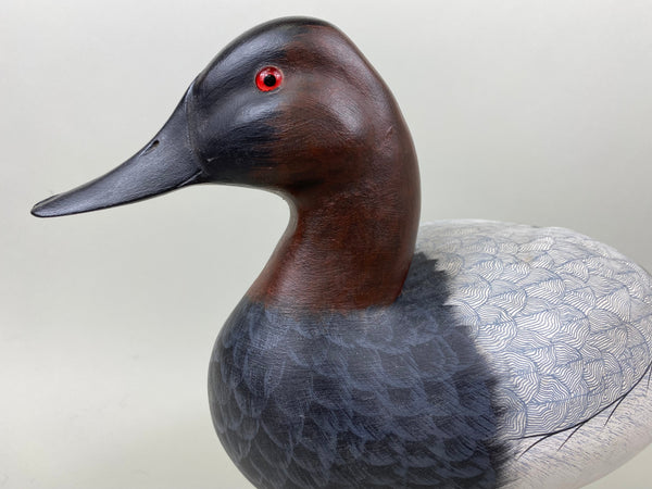 Pair of Canvasbacks, Ferguson (Harris School) (#7277)