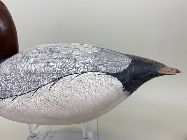 Pair of Canvasbacks, Ferguson (Harris School) (#7277)